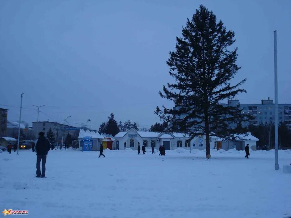 снег в городе. снег в арсеньеве. экология снег. сейчас. снег в арсеньеве.