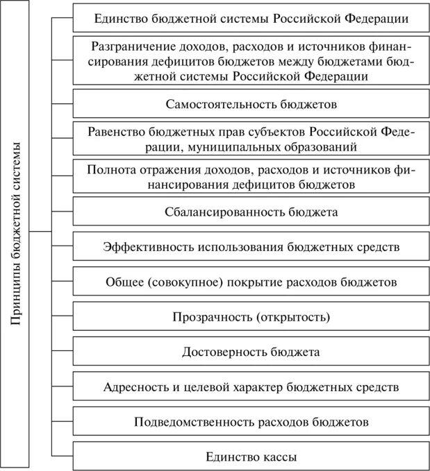 Принципами бюджетной системы являются. Принципы построения бюджетной системы схема. Принципы функционирования бюджетной системы Российской Федерации. Основные принципы функционирования бюджетной системы РФ. Структура бюджетной системы РФ. Принципы функционирования.