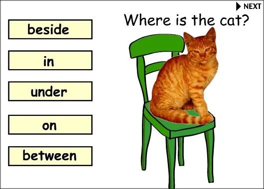 Where is the cat. Предлоги на английском cat. where is the cat задание. where is the cat prepositions. where is the cat предлоги места.