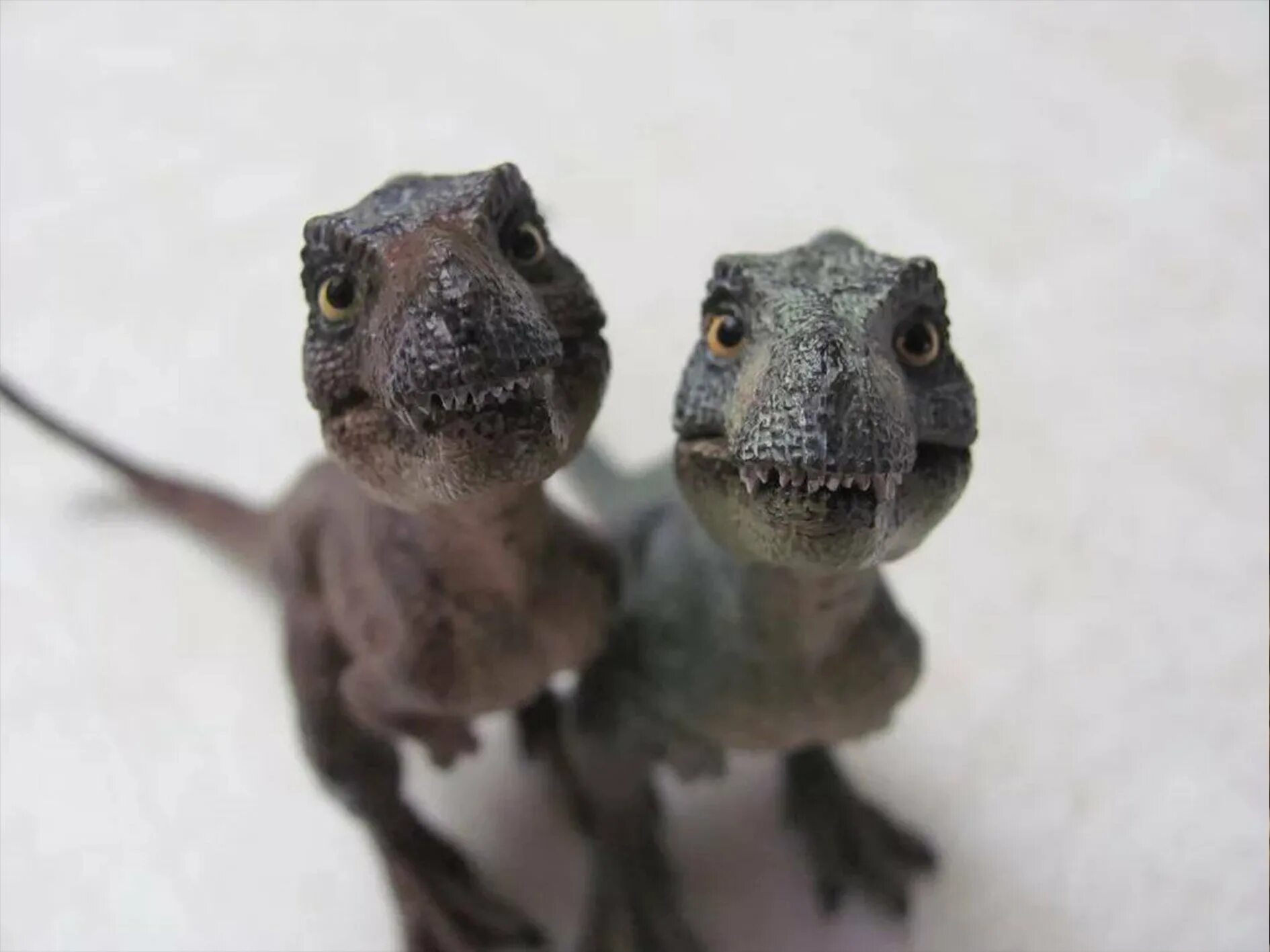 Тираннозавр рекс детеныш. Детеныш тираннозавра papo. Велоцираптор papo.