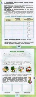 Оценка выполненной работы окружающий мир 2 класс