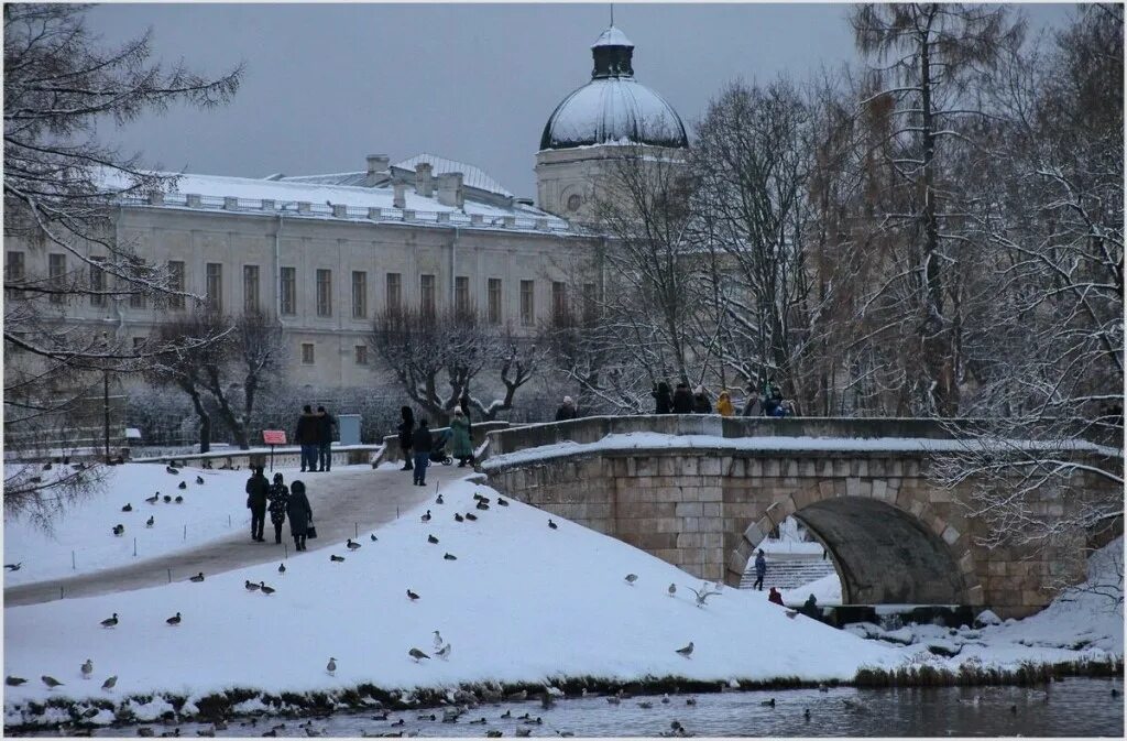 Погода гатчинского. Дворцовый парк Гатчина зимой. Гатчина Дворцовый парк зима 2022. Гатчина столица Ленинградской области 2021. Гатчина зимой 2021.
