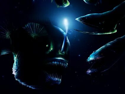 The deep sea 3d