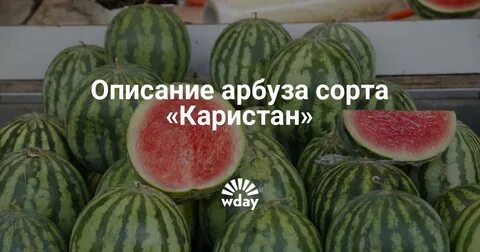 Характеристика сорт каристан