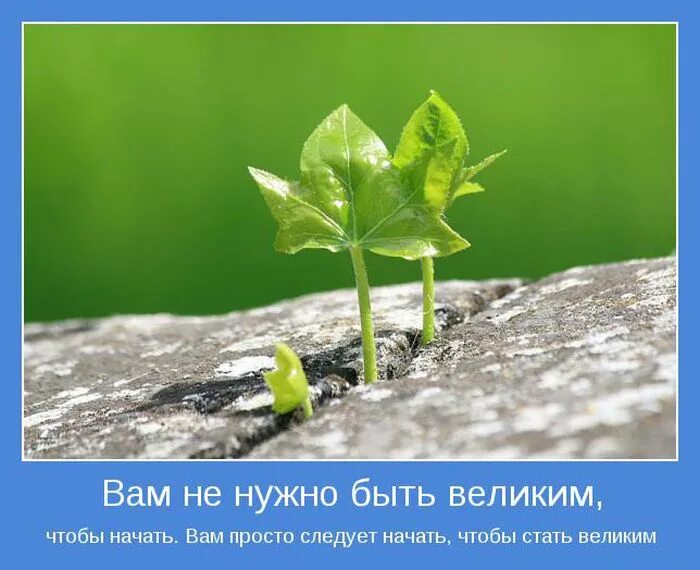 Сильный мотиватор. Успех в жизни. Мотиватор для жизни. Картинки мотиваторы позитивные. Эмоциональное равновесие.