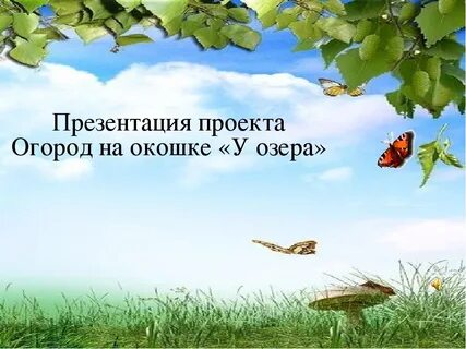 Презентация проекта огород