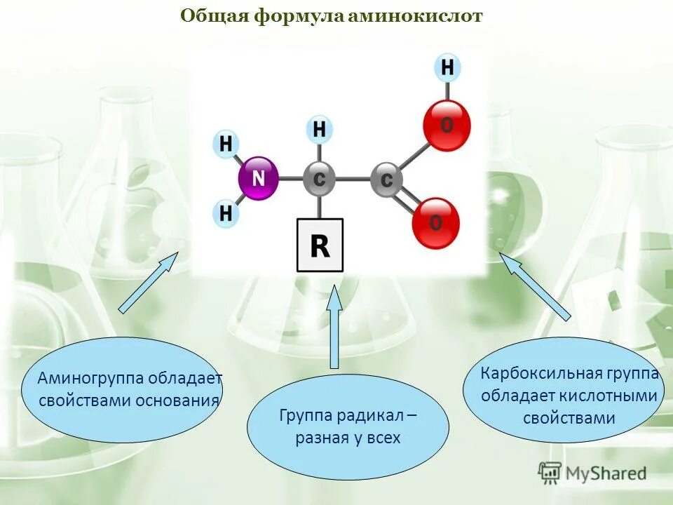 Аминокислоты аминогруппа карбоксильная группа. Аминогруппа и карбоксильная группа. Аминогруппа радикал карбоксильная группа. Карбоксильная группа аминокислот. Белок аминокислоты аминогруппа карбоксильная группа.