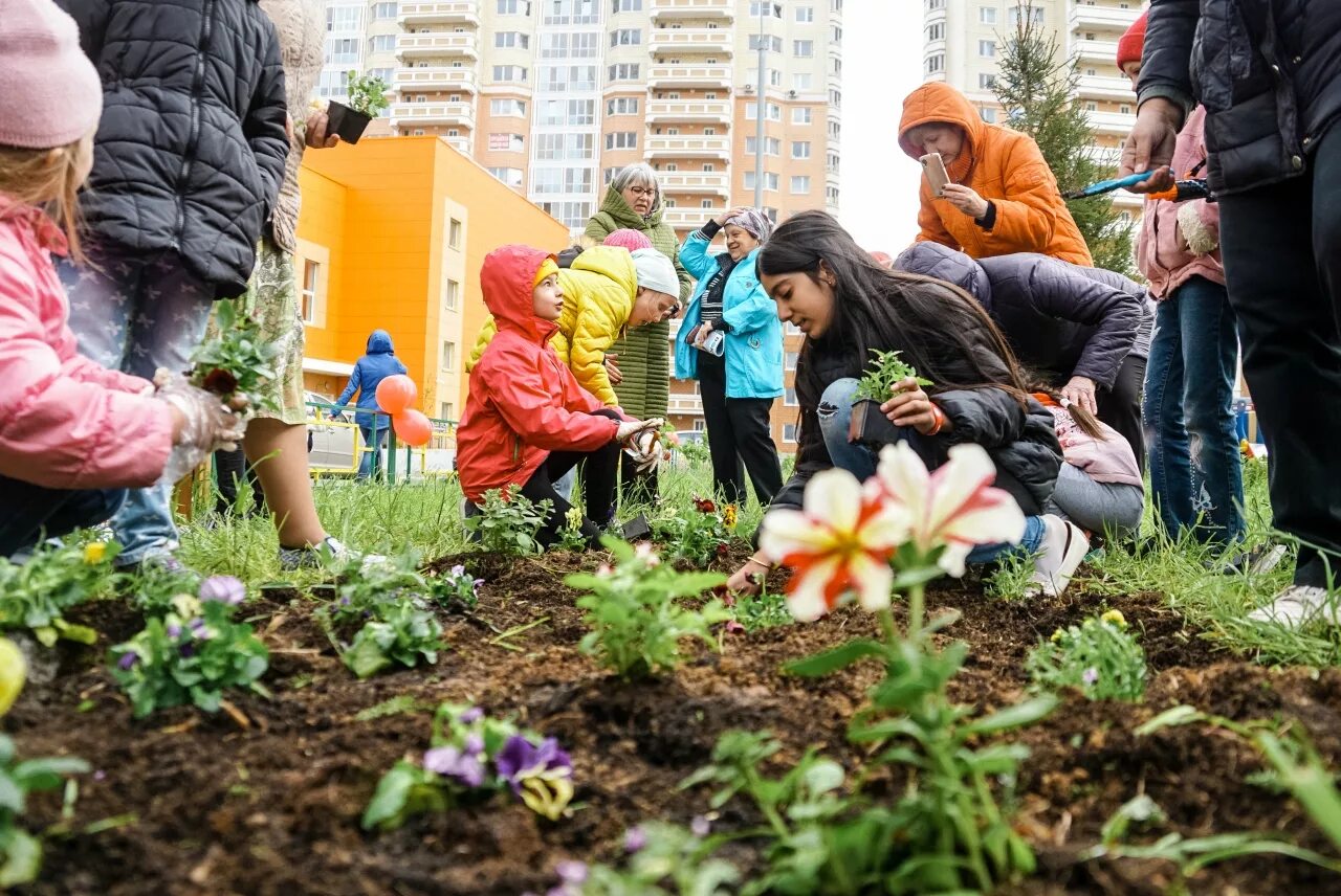 Сажать цветы. Клумба для детей. Цветы во дворе многоквартирного дома. Посадка цветов. Дети вырастили цветы