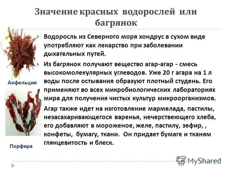 Бурая что это значит. Коричневый цвет в психологии женщины. Бурая что это значит. Бурая что это значит. Бурая что это значит.