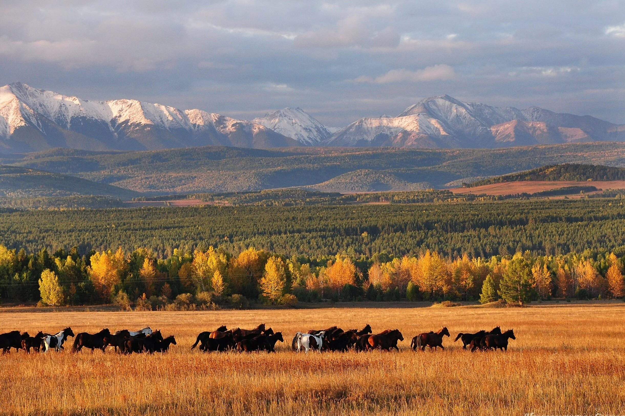 Разнообразие природы родного края бурятии. Стихотворение о бурятии. Озеро амут джергинский заповедник. Природа бурятии фото хорошем качестве. Природа и животный мир бурятии.
