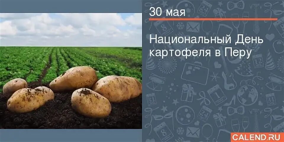 Когда будет день картошка