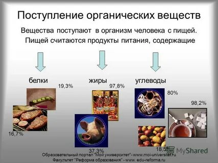 Органические вещества в организме