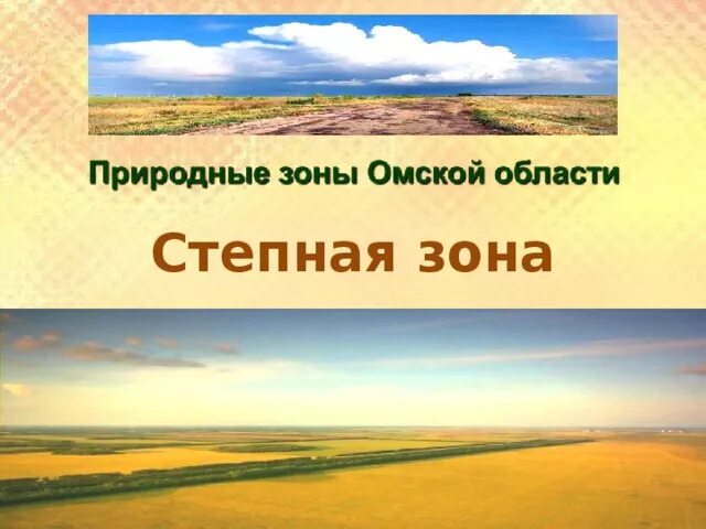 Степная зона Омской области. Природные зоны Омской области. Природно климатические зоны Омской области. Природные зоны о мской обл.