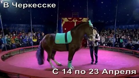 Цирк торнадо