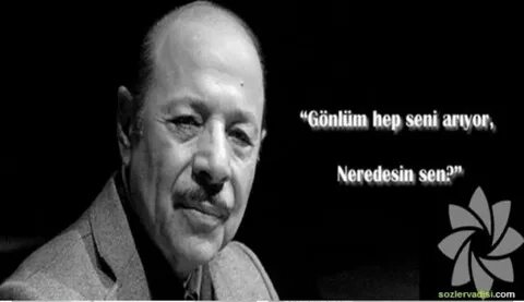 Hep sen
