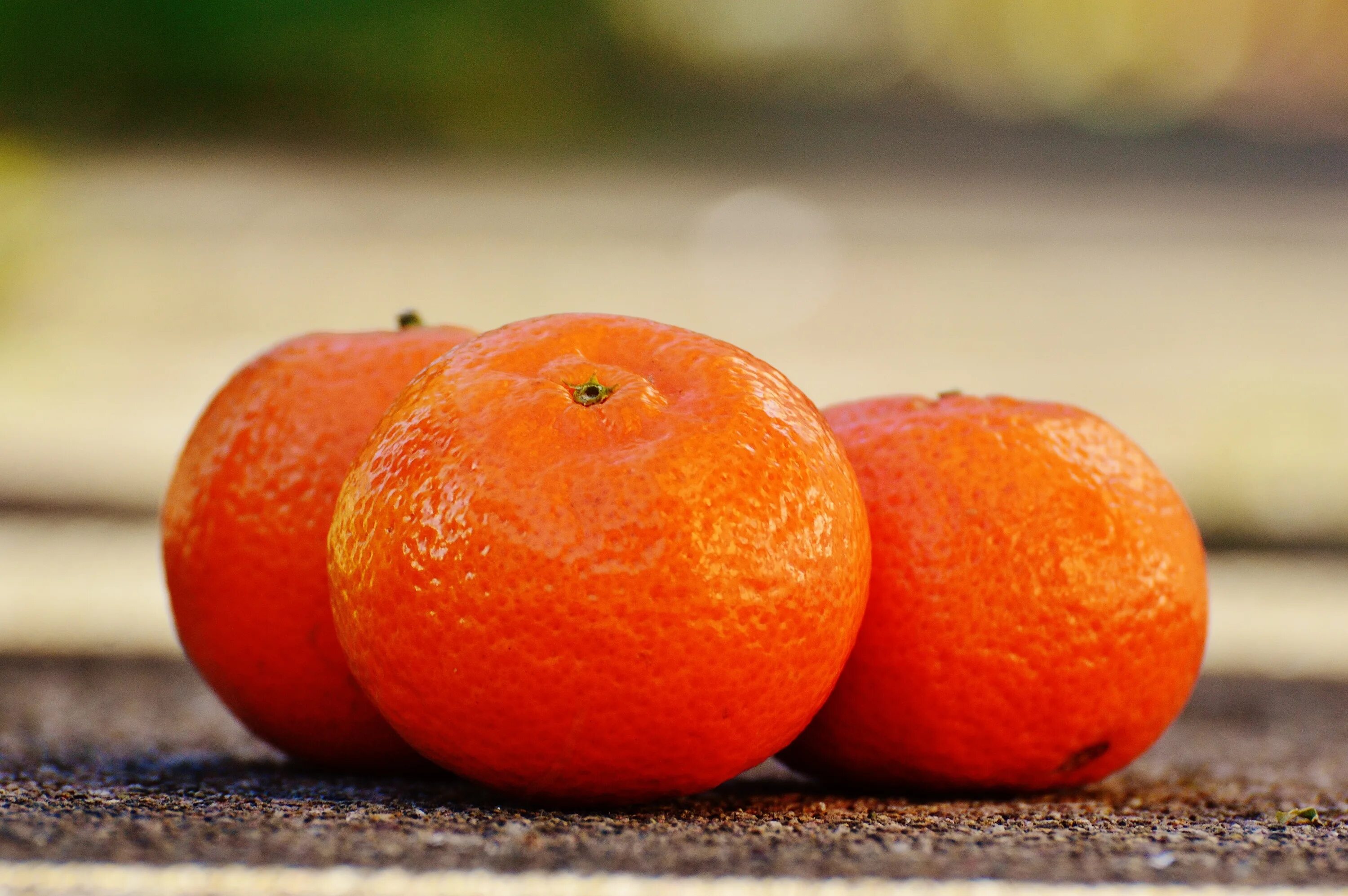 Katrin tangerine. Танжерин. Мандарины сорт Tango. Тангерин фрукт. Мандарин (фрукт).