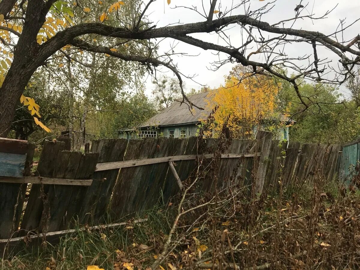 Чернобыль деревня Копачи. Села в Чернобыльской зоне. Деревня Слаутино Чернобыль. Заброшенные деревни Чернобыльской зоны. Чернобыль живут люди сейчас 2024