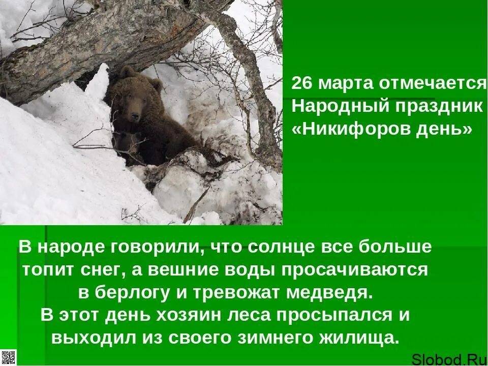26 февраля приметы
