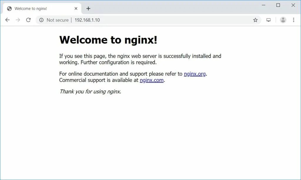 Установка nginx. Nginx.