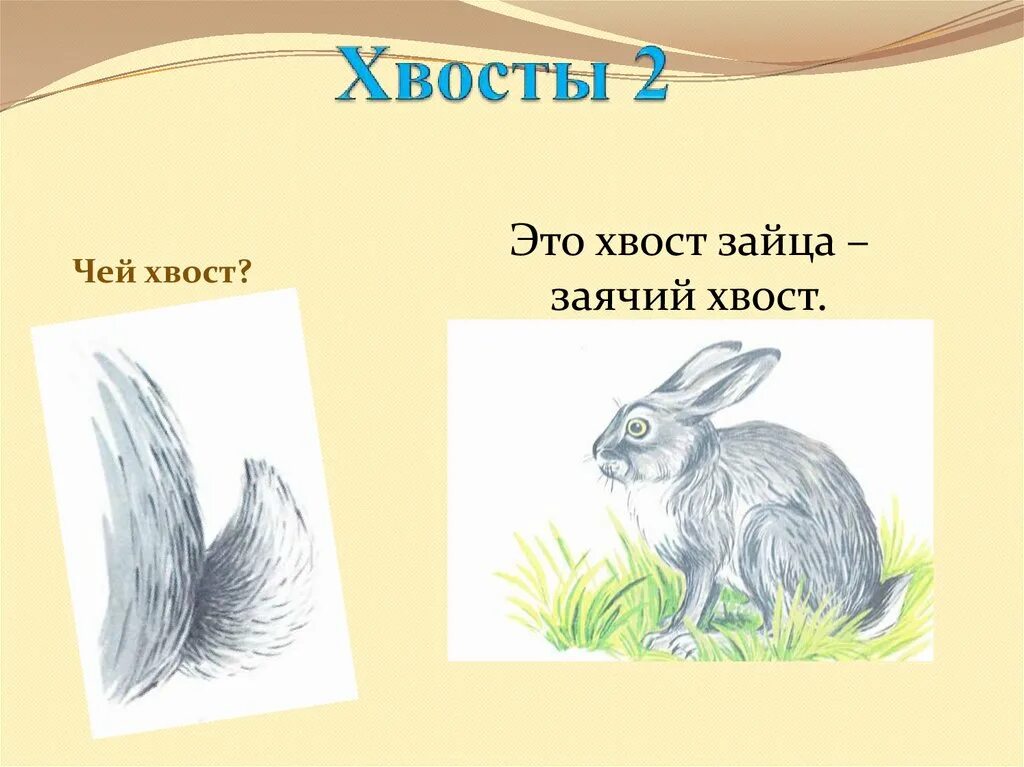 Заяц хваста. Игра «чей хвост». Хвостик зайца. Чей хвост заяц. У зайца хвост короткий а уши