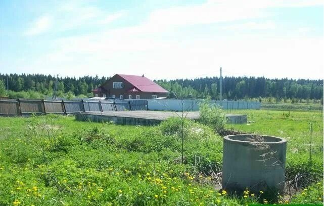 Купить земельные участки в дмитровском. Посёлок Останкино Дмитровский район. Поселок совхоза Останкино Дмитровский район Московская область. Станино Дмитровский район. Свх Останкино Дмитровский район.