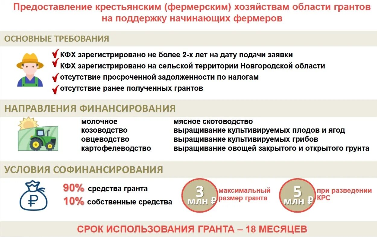 Как можно получить деньги от государства. Государственная поддержка кфх. какая помощь от государства. документы для регистрации фермерского хозяйства. субсидии для сельхозпроизводителей в 2025 году.