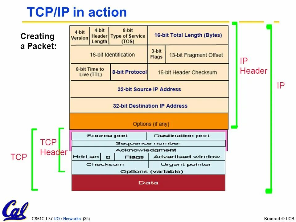 Пакет TCP IP структура. Структура TCP пакета. Заголовок пакета TCP. Флаги TCP пакета.