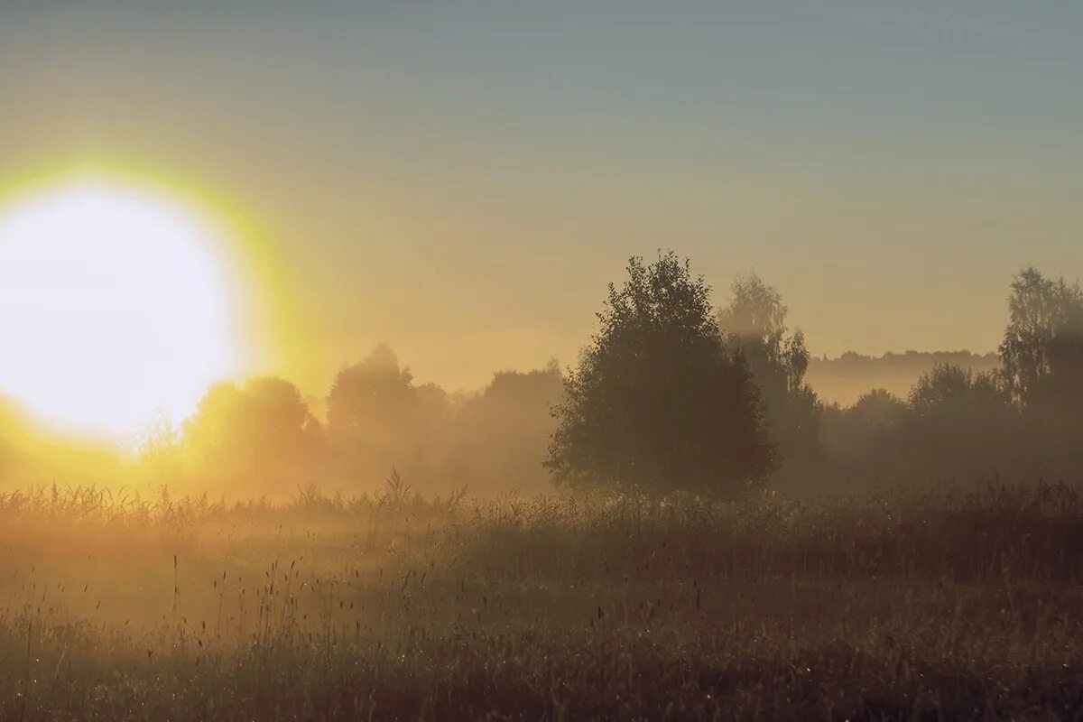 слушать и солнце всходило