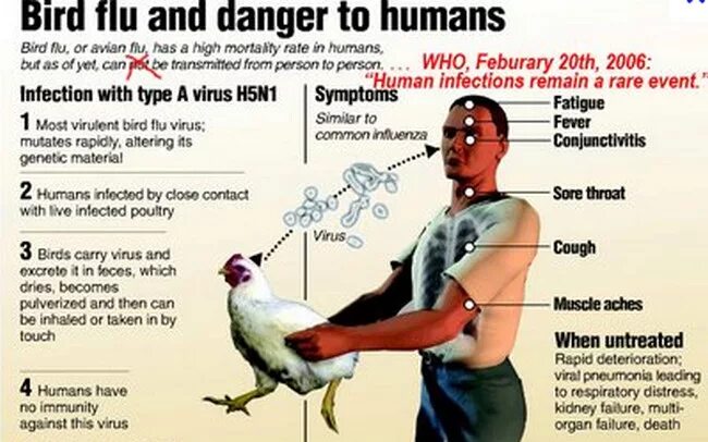 The is caused by a virus