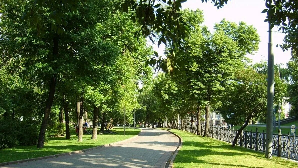 Улицы екатеринбурга озеленение. Она зеленая. Зеленые насаждения в городе. Зеленые насаждения екатеринбург. Зеленые насаждения екатеринбург.