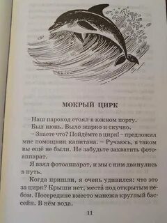 Рассказ мокрая