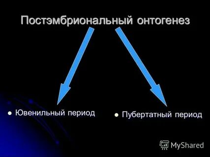 Закономерности постэмбрионального периода онтогенеза человека