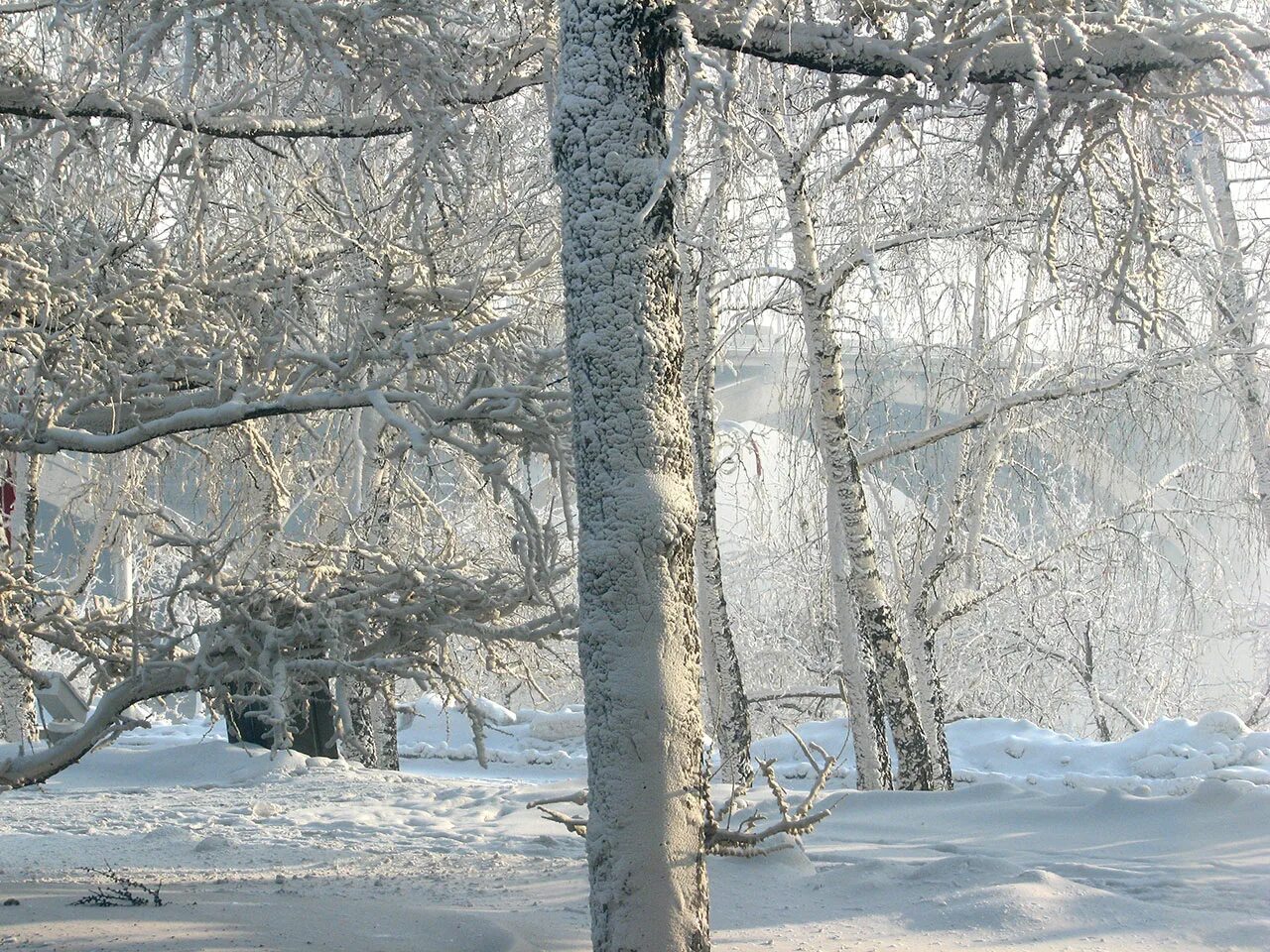 Самый холодный день в красноярске. Биг бен красноярского края фото пресс-службы. Самый холодный день в красноярске. Морозный красноярск. Торговля на севере.