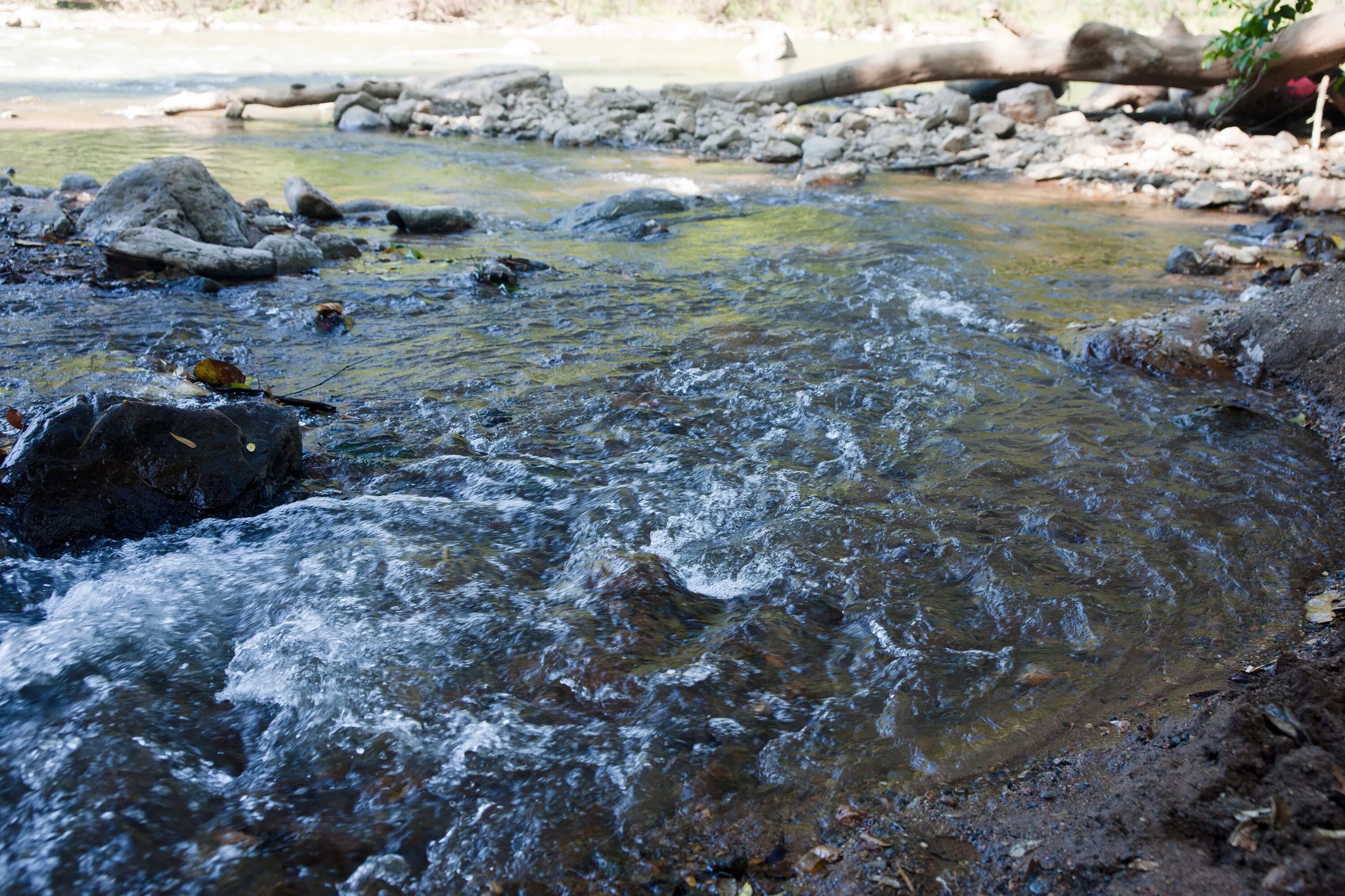 Вода ручей. Ручей прозрачная вода. Прозрачная вода в ручейке. Грязная вода в ручье пейзаж.