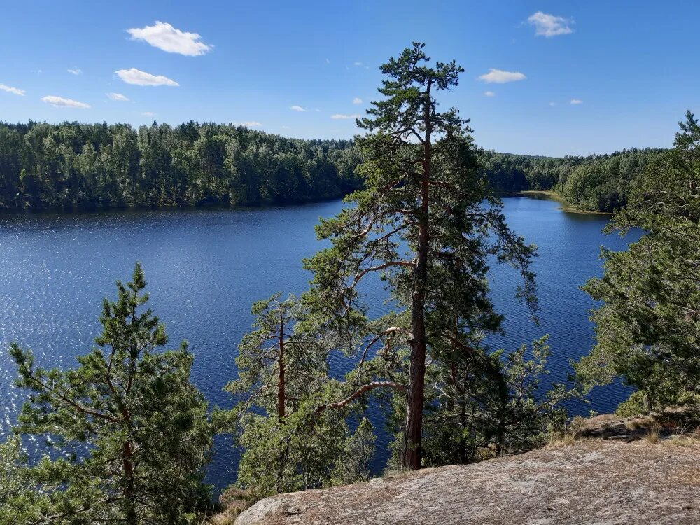 гора кивисюрья ленинградская ленобласти. ястребиное озеро карелия. ленинградские горы. ленинградские горы. горы в ленинградской области.