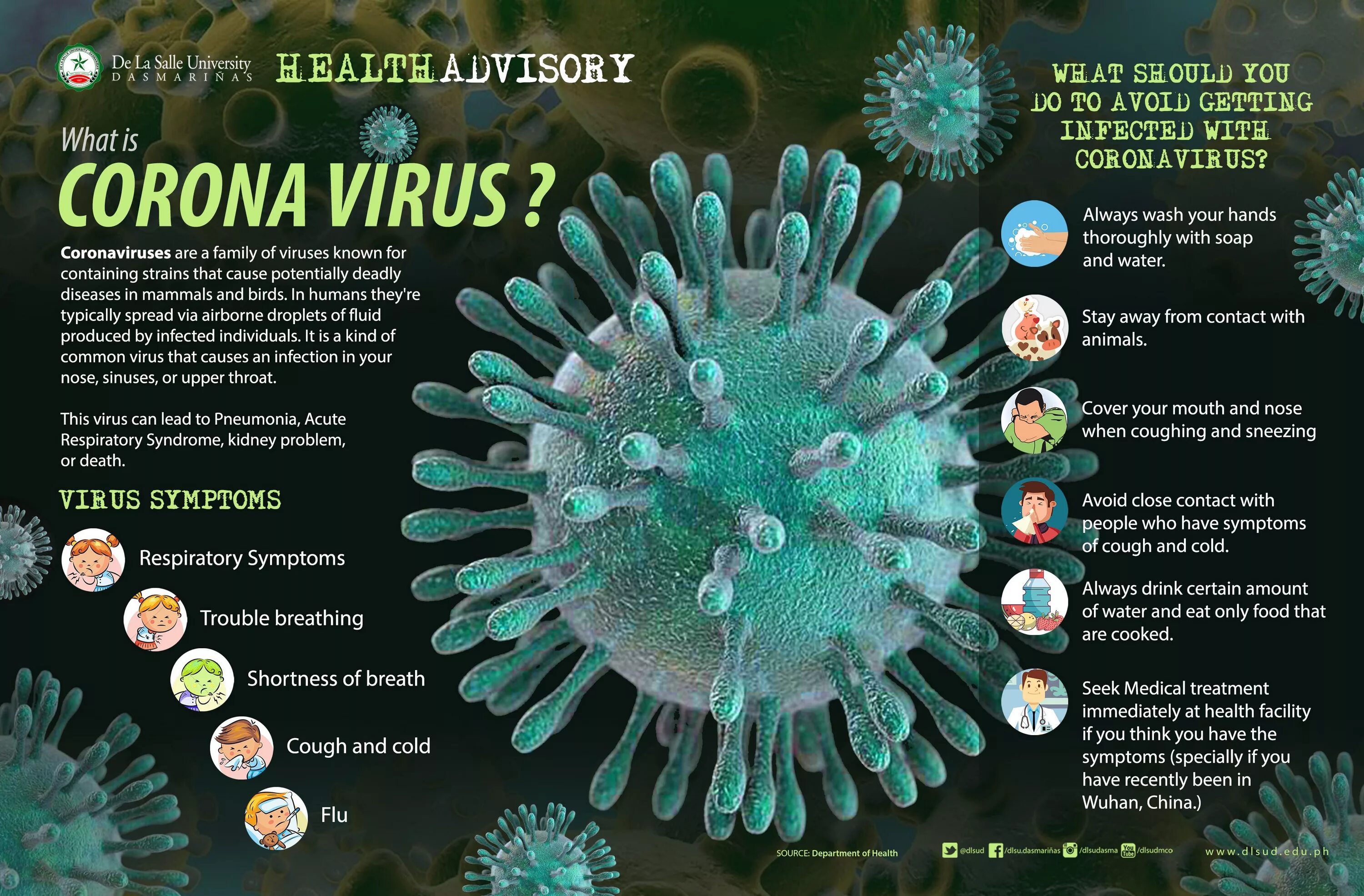 Вирусы инфографика. Инфографика вирусы биология. Коронавирус в мире таблица. Самые распространенные вирусы человека. Сколько живет вирус на поверхности