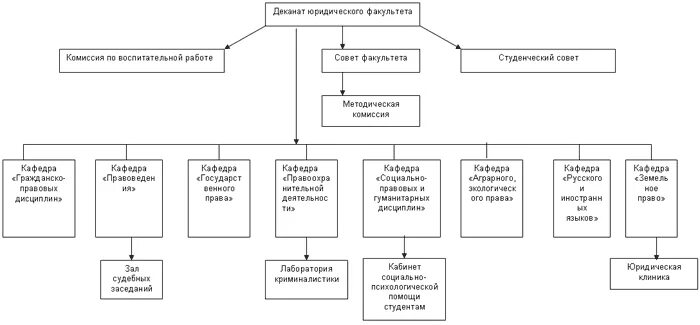 структура образовательного учреждения вуз. радченко юридический факультет. структурное подразделение юриста. чи бгу юридический факультет. ра́бота для студентов юристов.