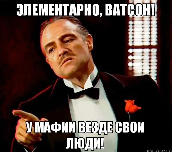 Дебилы самая сильная организация. Человек который везде свой. Люди которые везде видят. Везде свои. Мемы с людьми.