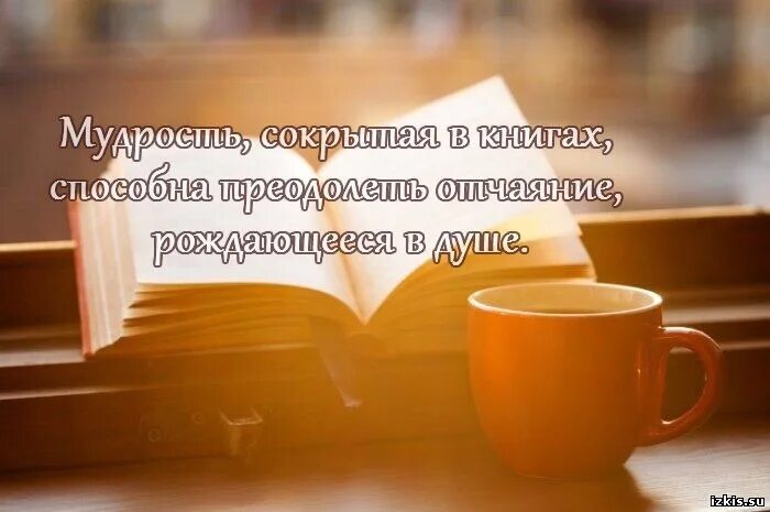 Мудрая книга читать. Книга мудрости. высказывания о мудрости книг. мудрые изречения о книгах. мудрость книги афоризмы.