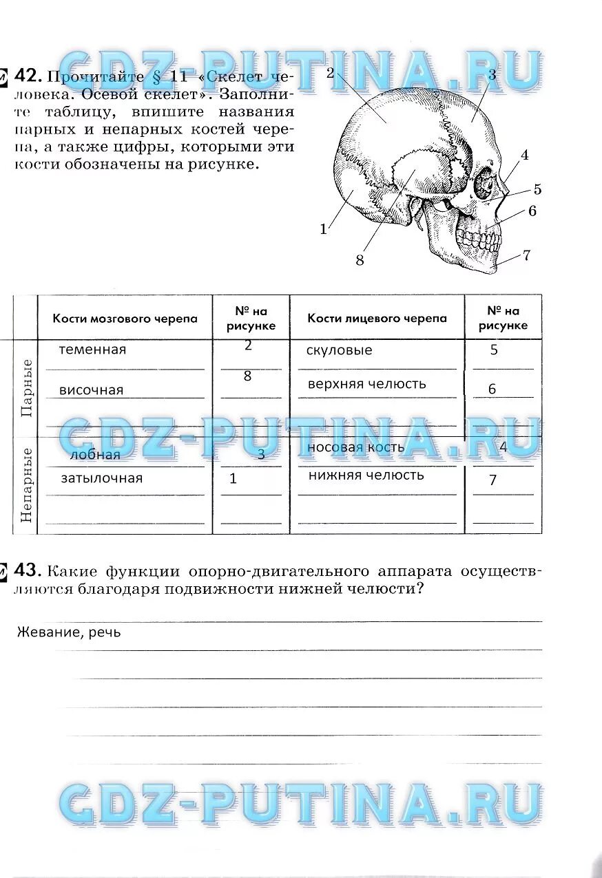 Заполните таблицу впишите. Заполните таблицу впишите названия парных и непарных костей черепа. прочитайте 11 скелет человека осевой скелет заполните таблицу впишите. подчеркните названия парных костей черепа.