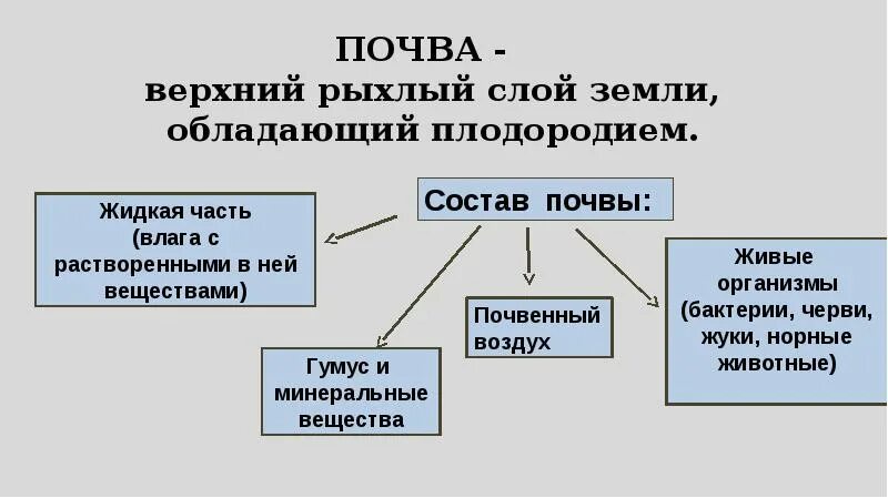 Почва презентация 6 класс география. Почвы презентация 6 класс. Состав почвы 6 класс. Верхний слой земли обладающий плодородием это.