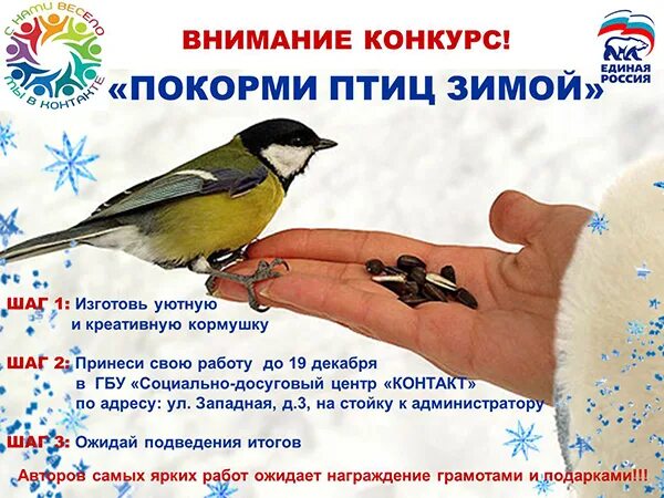 Покормите птиц зимой. Акция Покормите птиц. Акция Покормите птиц зимой объявление. Акция Покорми птиц зимой.