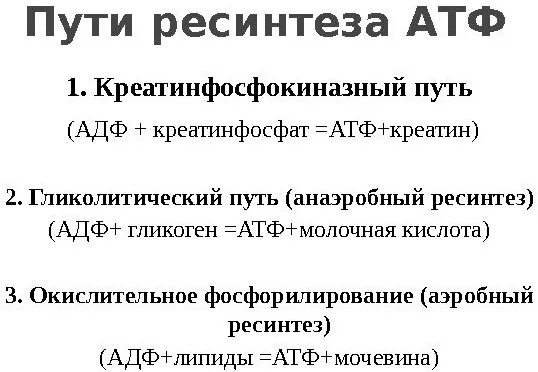 Механизм ресинтеза атф. Аэробный путь ресинтеза АТФ схема. Гликолитический путь ресинтеза АТФ. Аэробный механизм ресинтеза АТФ. Анаэробный гликолиз ресинтеза АТФ.