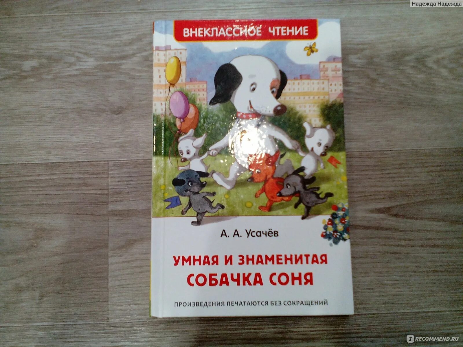 Книга про соню