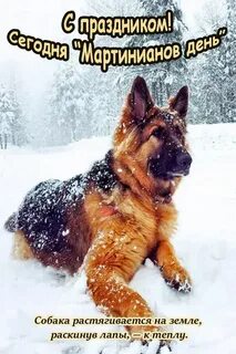 26 февраля 2024 день