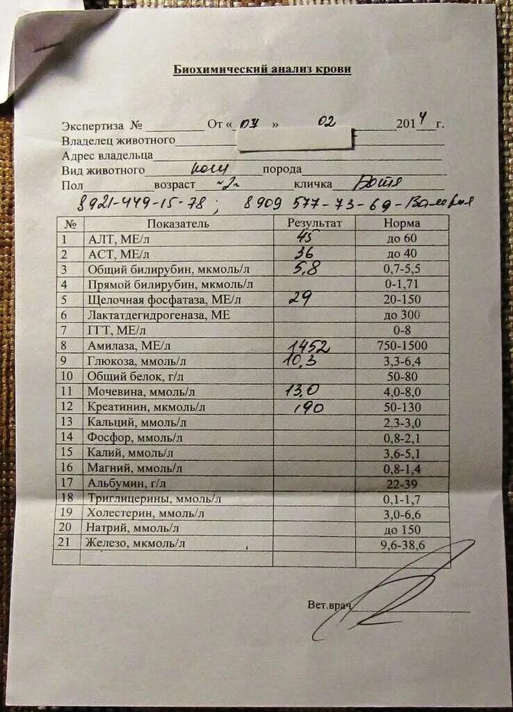 Норма клинического анализа крови у женщин таблица. Что такое соэ в анализе крови. Как обозначается соя в анализе. Как обозначается соя в анализе. Соэ анализ крови расшифровка у детей.