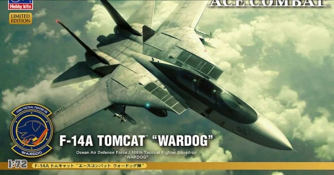 Combats f. F-14 Tomcat Ace Combat. Ace Combat Hasegawa модель. F 14 Wardog. F-14 Hasegawa 1/72.