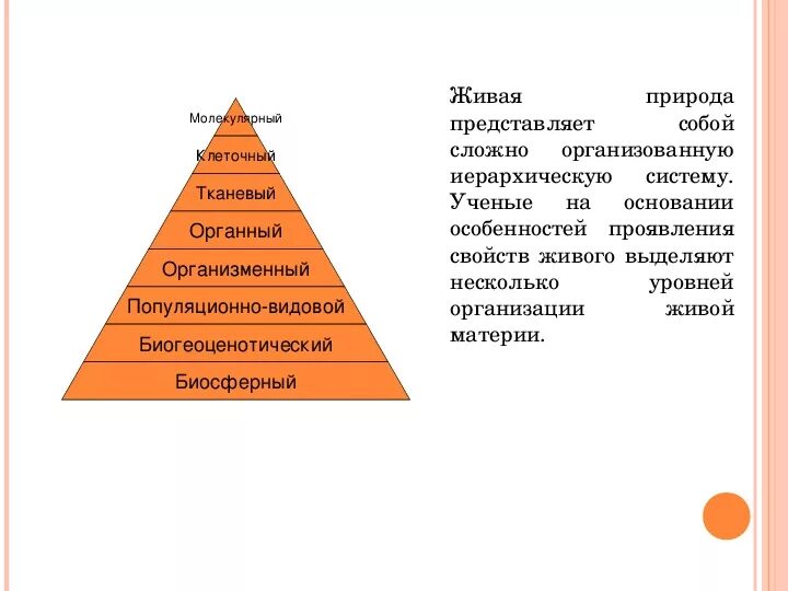 Последовательность иерархии уровней живой материи. Иерархия уровней организации живого. Иерархия уровней живой материи от низшего к высшему. Иерархические уровни организации живого.