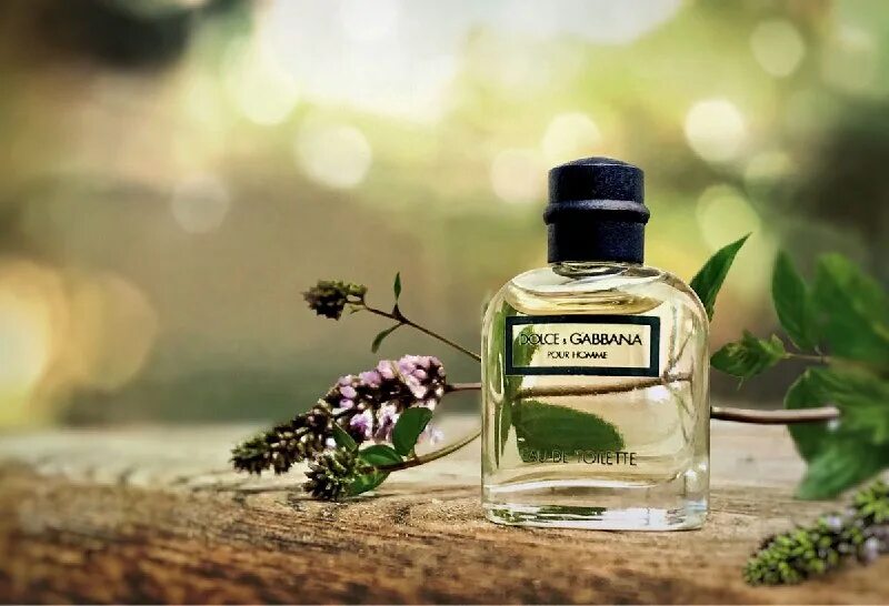 Green fougere avon. фужерные (папоротниковые) ароматы. фужерные духи мужские. фужерные ароматы это. древесный фужерный аромат.