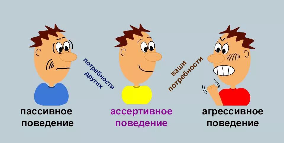 Поведение c. Ассертивное поведение. модели ассертивного поведения. ассертивность пассивность агрессия. аввертивное поведение.